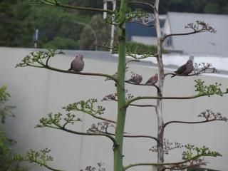 Main at Casa Esda - 8