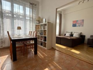 CUBE Apt in Prague center - 0