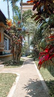 Clement House Ubud - 2