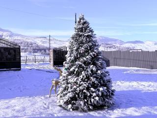 Shahdag Nature House - 5