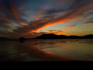 순천만에코비치 - 1