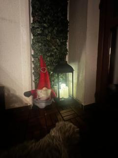 Winter Lotos Apartment Pamporovo - 4