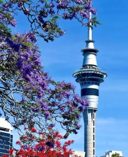 City life Skytower view with Balcony Famliy Retreat - 8
