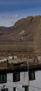 Wangmo homes, Spiti - 7