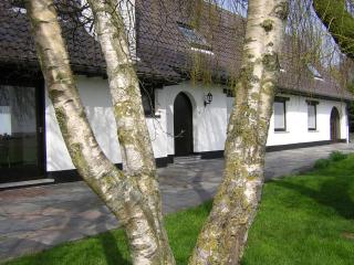 The Cosy Hill - Poperinge - 1