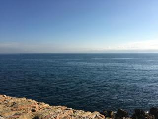 Cap Antibes Les Bosquets - Antibes - 1