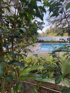 Nature's Inn Luxury Villa Morjim Goa, 4bhk and Sparkling Pool - 9