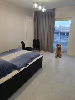 Apartament nad Odra centrum - 1