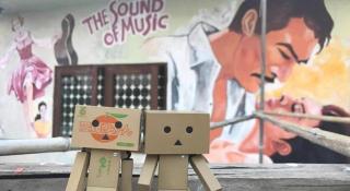 Oldie and Sleepy Hostel - 8