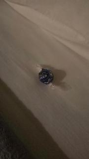 Dimora Storica Silver Room - 3