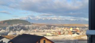 Tatry Gallery Residence - 9