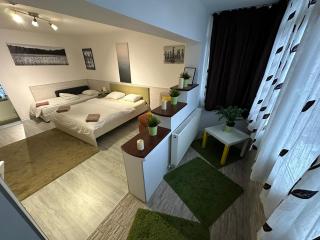 New Green Apartment Studio 1 - Boekarest - 8