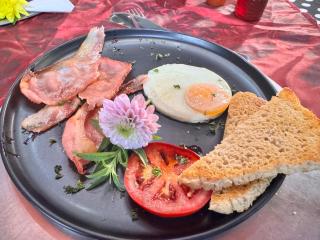 55 Albatross Guesthouse - 2