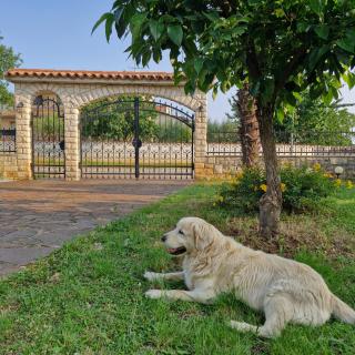 Apartments Mihael and Melani - 5