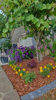 Apartments Mihael and Melani - 2