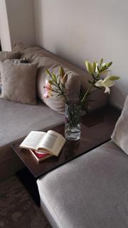 Livingville Nine - 5