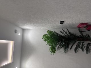 ج 1 استيديو vip فاخر واستثنائي شمال الرياض حي ملقا - 7