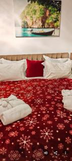 Mony Apartaments - 9