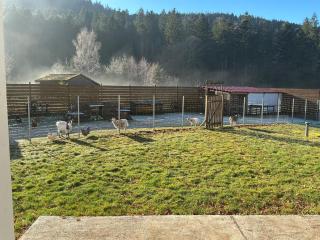 Gîte coquelicot les cœurs du tilleul - 4