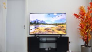 Peaceful 1BR Escape - Hideaway Haven - 4