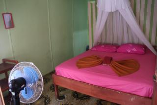 Fun Family Guest House n Jungle Tour - 8