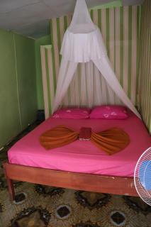 Fun Family Guest House n Jungle Tour - 7