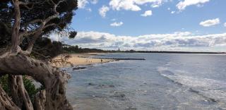 Kipsie Cottage - Point Lonsdale - 6
