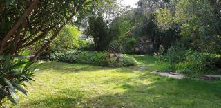 Kipsie Cottage - Point Lonsdale - 4