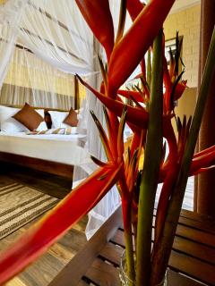 WILD PARADISE Apt - 4