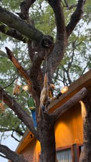 Tamarind Tree Retreat - 5