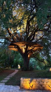 Tamarind Tree Retreat - 4