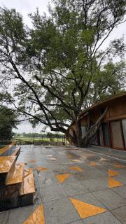 Tamarind Tree Retreat - 2