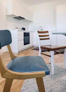 Wien Brigittenau, zentrumsnah, Augarten, Prater, Donauinsel - 4