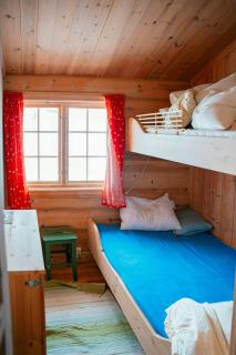 Traditional Log Cabin At Reineskarvet - 1