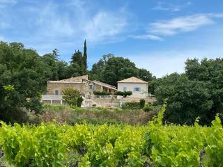 Historic Wine Estate With Pool In Provence - 7