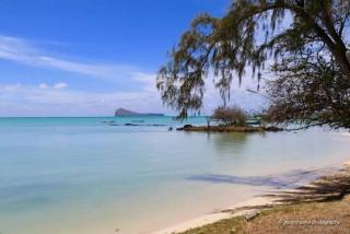 New Luxury AV Cozy Villa Calodyne - Kite Surfing spot - 4