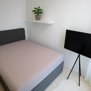 Art Nouveau apartment with garden in Pisek - 3