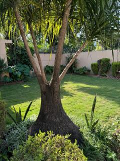 Park Lane Guest House - 3