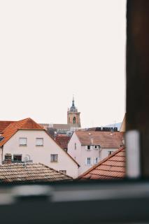 Colmar Hyper Center ,private parking - 4