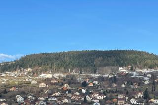 Bright nest with mountain view in Gérardmer - 9