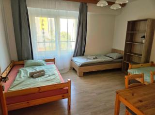 Apartment in center of Poděbrady - 8