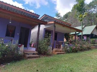 โบว์ โฮมสเตย์ปางอุ๋ง - 2