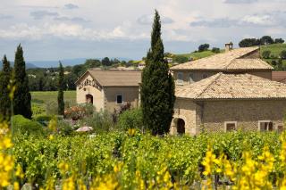 Clos Du Père Clément - Visan - 9