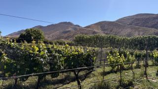 Hostería Viñas de Uquia - 8