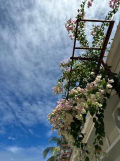 Home In Dhigurah - 9