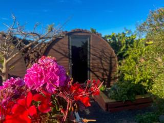 The Secret Garden Lanzarote - 2