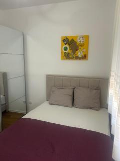 Stan na dan Arte - 1