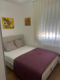 Stan na dan Arte - 2