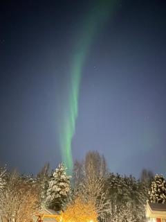 Arctic Haven Rovaniemi Harmonious Home for Groups - 6