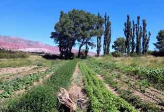 Hostería Viñas de Uquia - 4